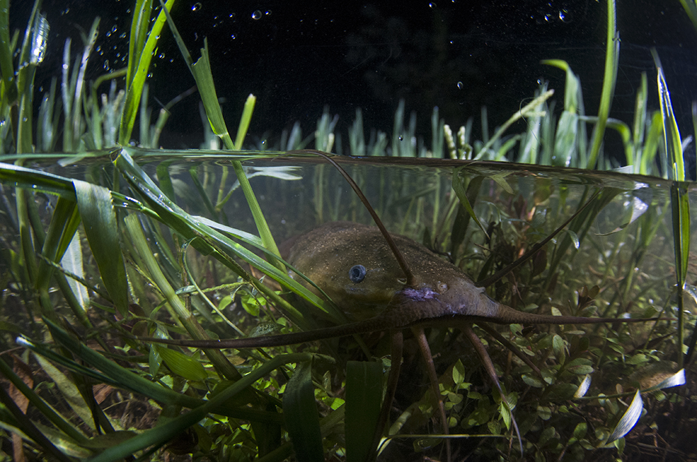 Open Call for residency stay in India in the summer of 2017